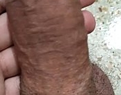 Desi Bhopal mms leaked coitus scandal
