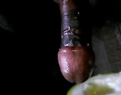 Desi Boy Sexual connection With Bottle Gourd Feeling Awesome